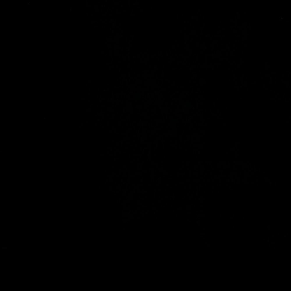 Meet your Posher, Anabelle